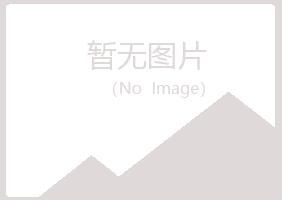 白银平川妙彤服务有限公司